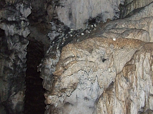2013_sighitei_barlang__127.JPG 2013_sighitei_barlang__127.JPG