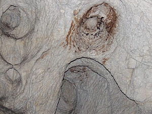 2013_sighitei_barlang__129.JPG 2013_sighitei_barlang__129.JPG