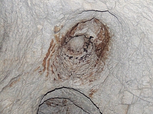 2013_sighitei_barlang__130.JPG 2013_sighitei_barlang__130.JPG
