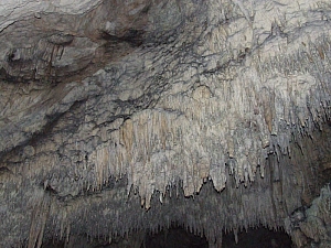 2013_sighitei_barlang__139.JPG 2013_sighitei_barlang__139.JPG