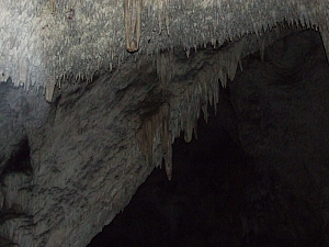 2013_sighitei_barlang__141.JPG 2013_sighitei_barlang__141.JPG