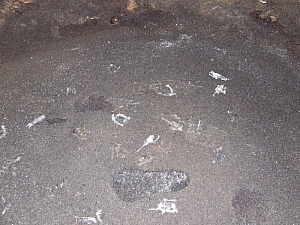 2013_sighitei_barlang__152.JPG 2013_sighitei_barlang__152.JPG