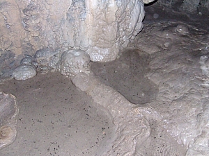 2013_sighitei_barlang__160.JPG 2013_sighitei_barlang__160.JPG