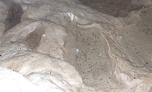 2013_sighitei_barlang__161.JPG 2013_sighitei_barlang__161.JPG