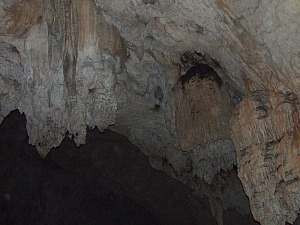 2013_sighitei_barlang__168.JPG 2013_sighitei_barlang__168.JPG
