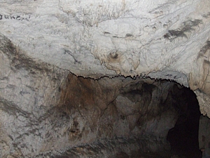2013_sighitei_barlang__171.JPG 2013_sighitei_barlang__171.JPG