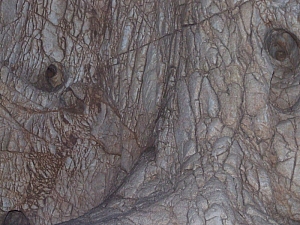 2013_sighitei_barlang__180.JPG 2013_sighitei_barlang__180.JPG