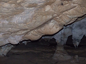 2013_sighitei_barlang__187.JPG 2013_sighitei_barlang__187.JPG