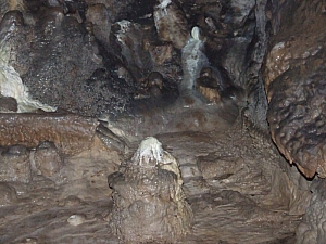 2013_sighitei_barlang__189.JPG 2013_sighitei_barlang__189.JPG