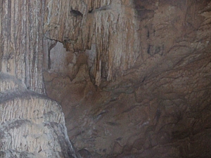 2013_sighitei_barlang__190.JPG 2013_sighitei_barlang__190.JPG