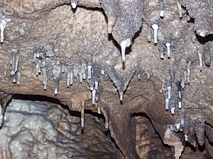 2013_sighitei_barlang__191.JPG 2013_sighitei_barlang__191.JPG