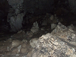 2013_sighitei_barlang__206.JPG 2013_sighitei_barlang__206.JPG