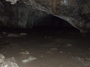 2013_sighitei_barlang__212.JPG 2013_sighitei_barlang__212.JPG
