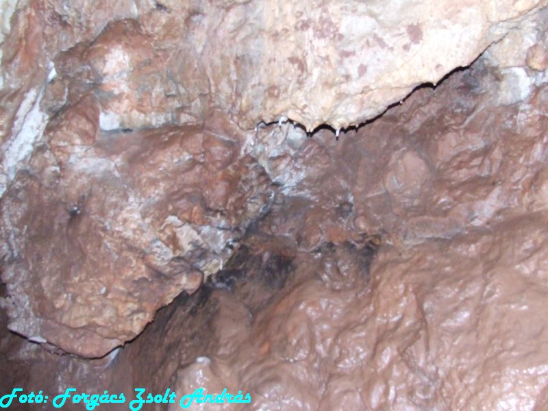 2013_sonkolyos_barlang__031.JPG