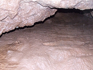 2013_sonkolyos_barlang__033.JPG 2013_sonkolyos_barlang__033.JPG