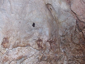 2013_sonkolyos_barlang__041.JPG 2013_sonkolyos_barlang__041.JPG