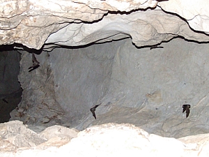 2013_sonkolyos_barlang__050.JPG 2013_sonkolyos_barlang__050.JPG