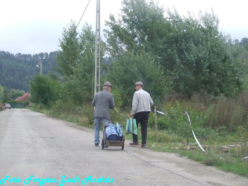 2013_sonkolyos_falu__052.JPG