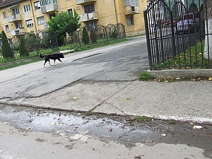 2013_sonkolyos_falu__035.JPG 2013_sonkolyos_falu__035.JPG