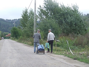 2013_sonkolyos_falu__052.JPG 2013_sonkolyos_falu__052.JPG