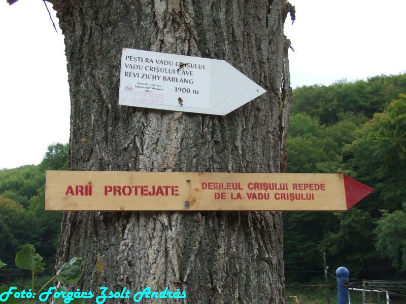 2013_zichy_barlang__002.JPG