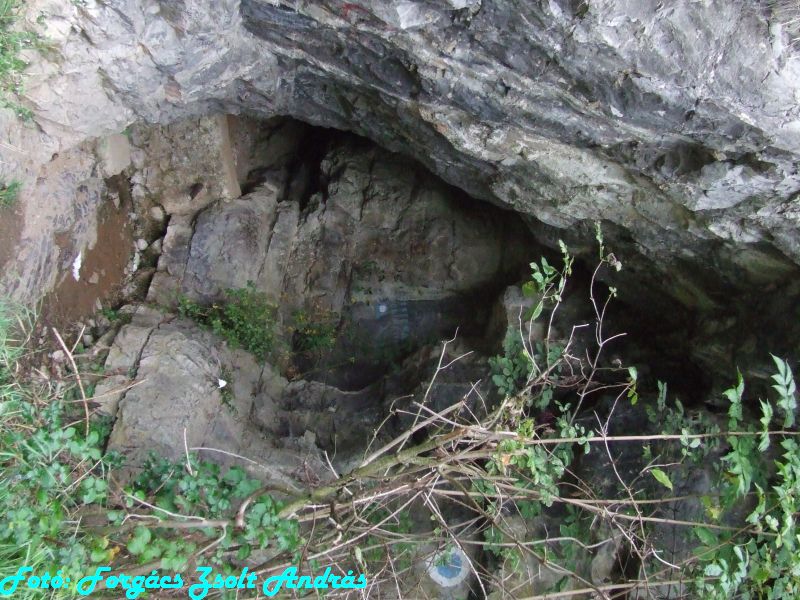 2013_zichy_barlang__008.JPG
