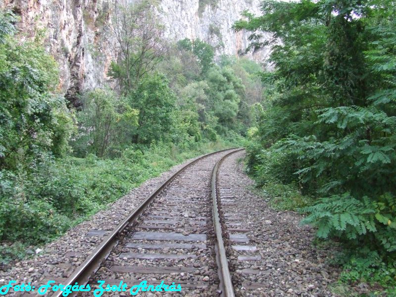 2013_zichy_barlang__010.JPG