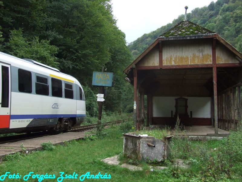 2013_zichy_barlang__028.JPG