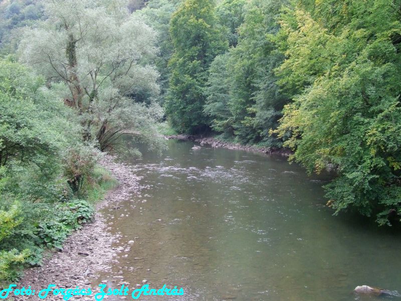 2013_zichy_barlang__030.JPG