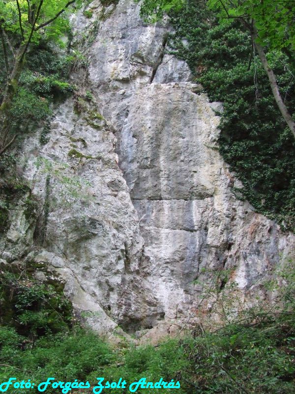 2013_zichy_barlang__035.JPG