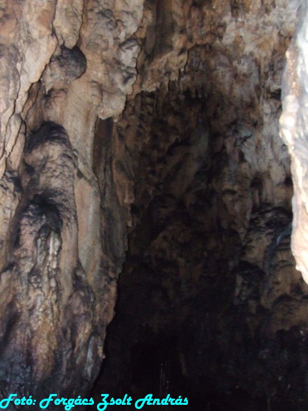 2013_zichy_barlang__050.JPG