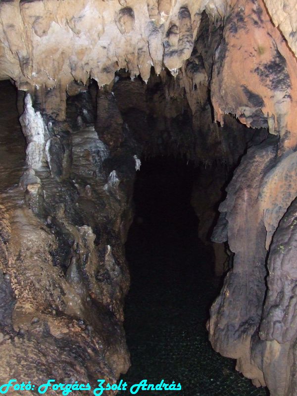 2013_zichy_barlang__052.JPG