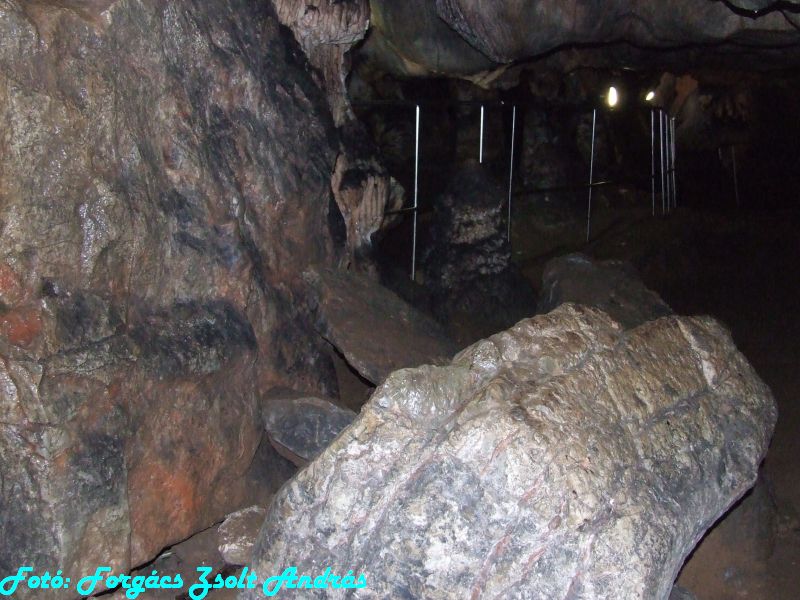 2013_zichy_barlang__059.JPG