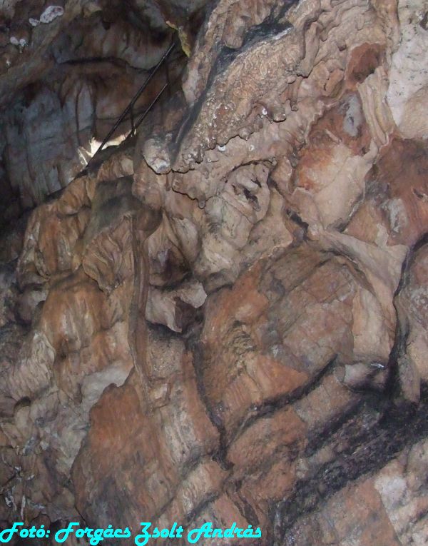 2013_zichy_barlang__062.JPG