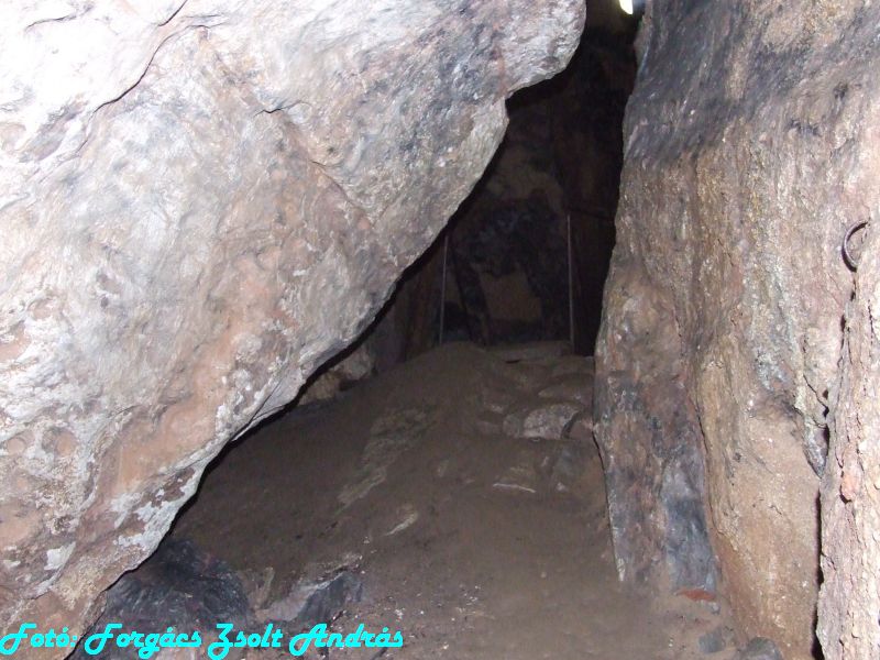 2013_zichy_barlang__065.JPG