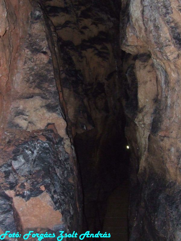 2013_zichy_barlang__066.JPG