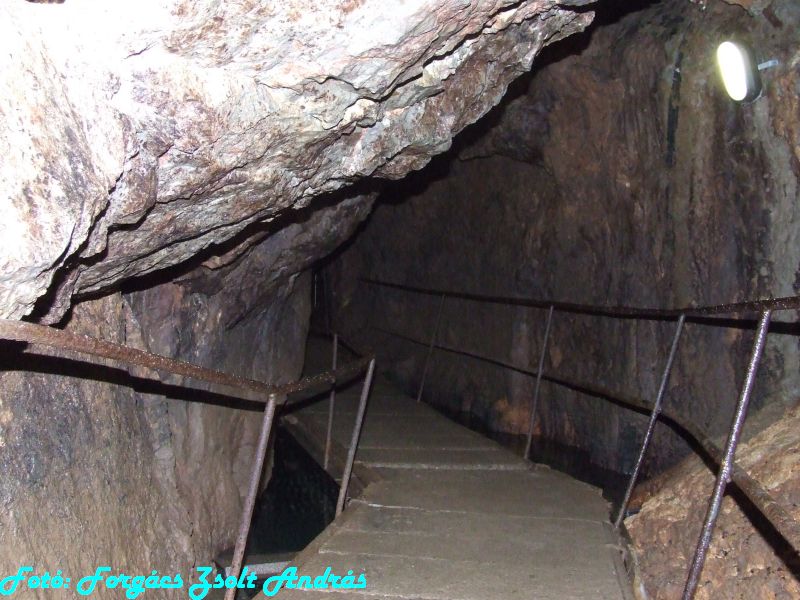 2013_zichy_barlang__070.JPG