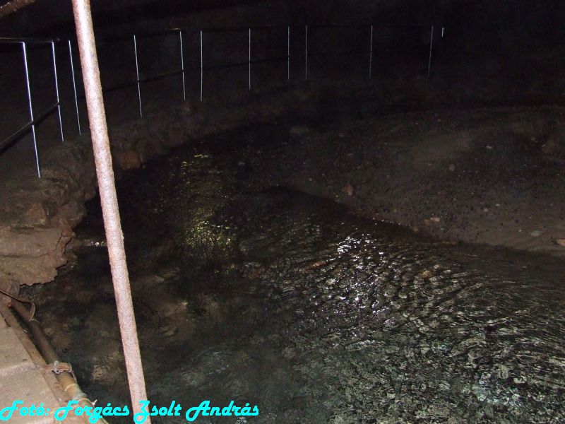 2013_zichy_barlang__072.JPG