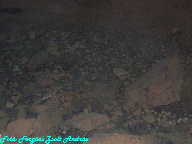 2013_zichy_barlang__076.JPG