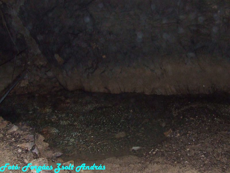2013_zichy_barlang__078.JPG