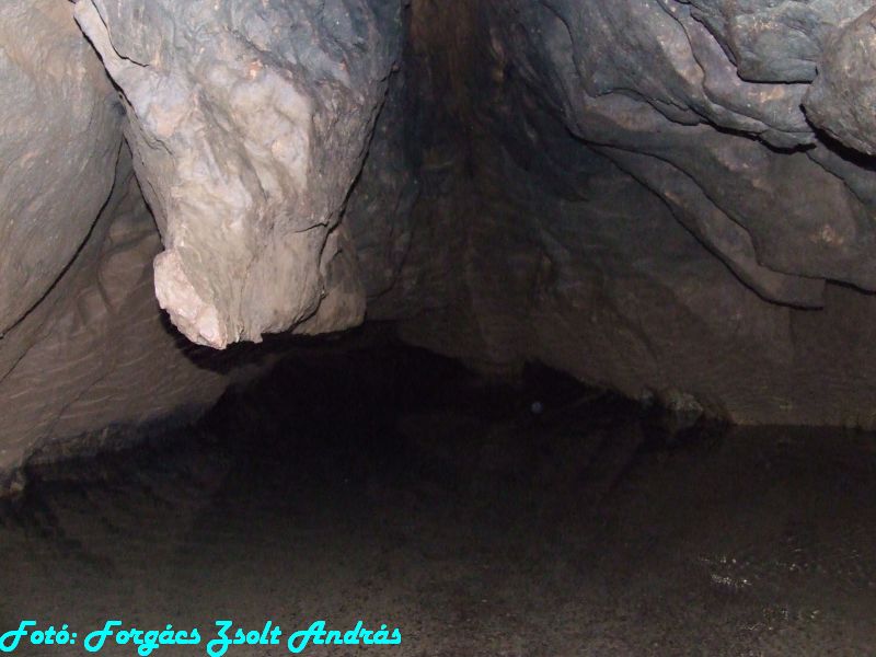 2013_zichy_barlang__103.JPG