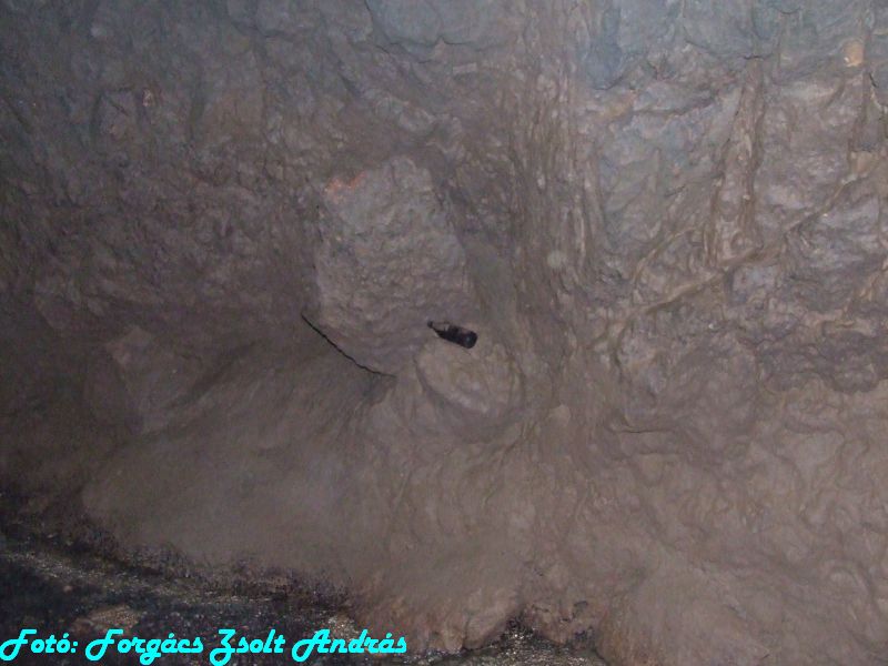 2013_zichy_barlang__112.JPG