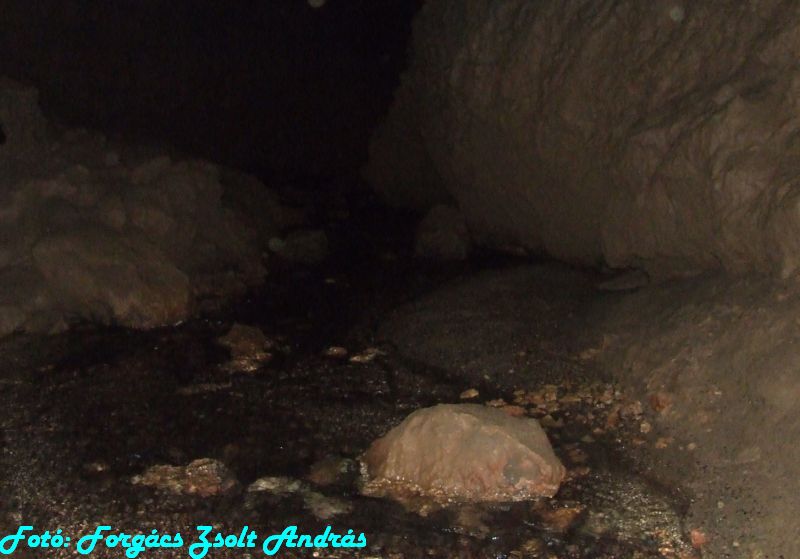 2013_zichy_barlang__114.JPG
