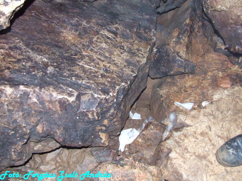 2013_zichy_barlang__116.JPG