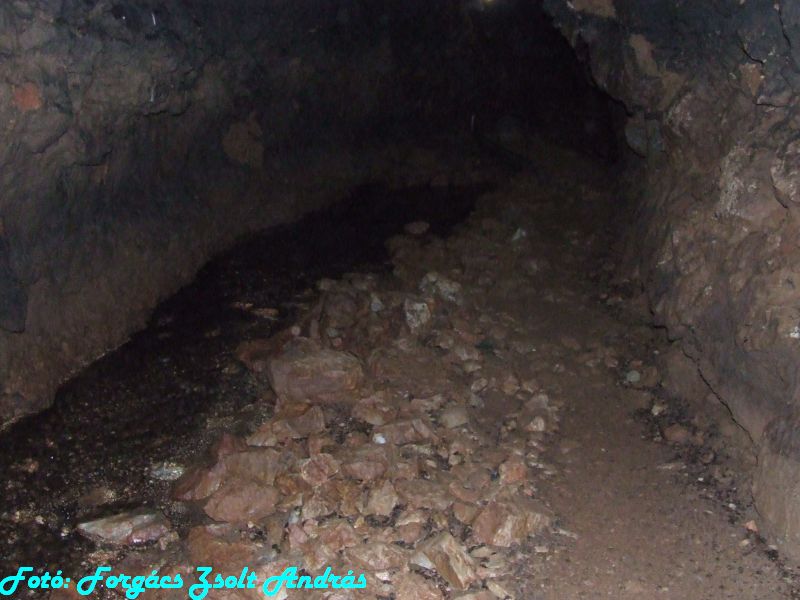 2013_zichy_barlang__121.JPG