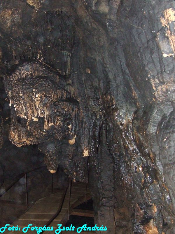 2013_zichy_barlang__133.JPG