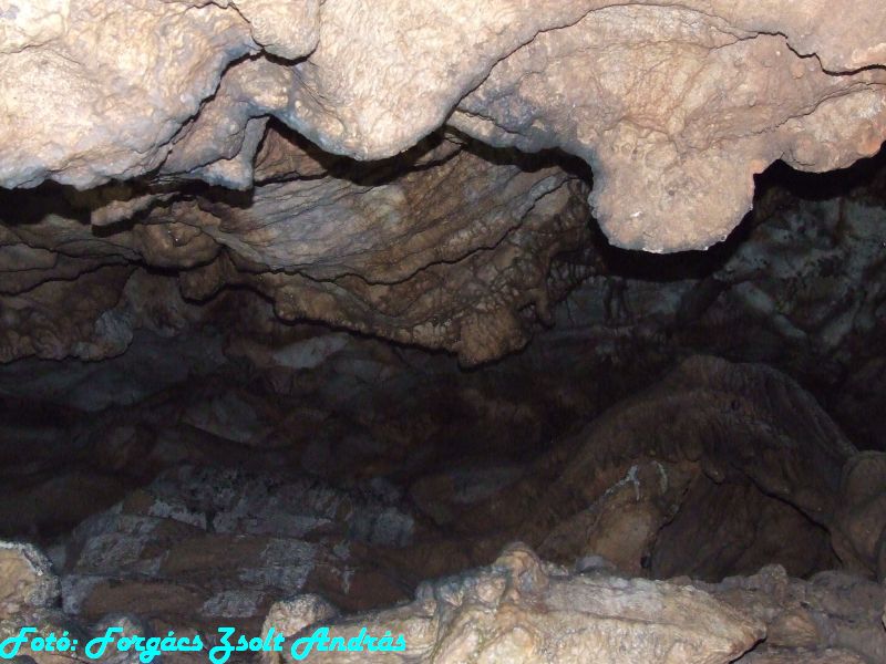 2013_zichy_barlang__136.JPG