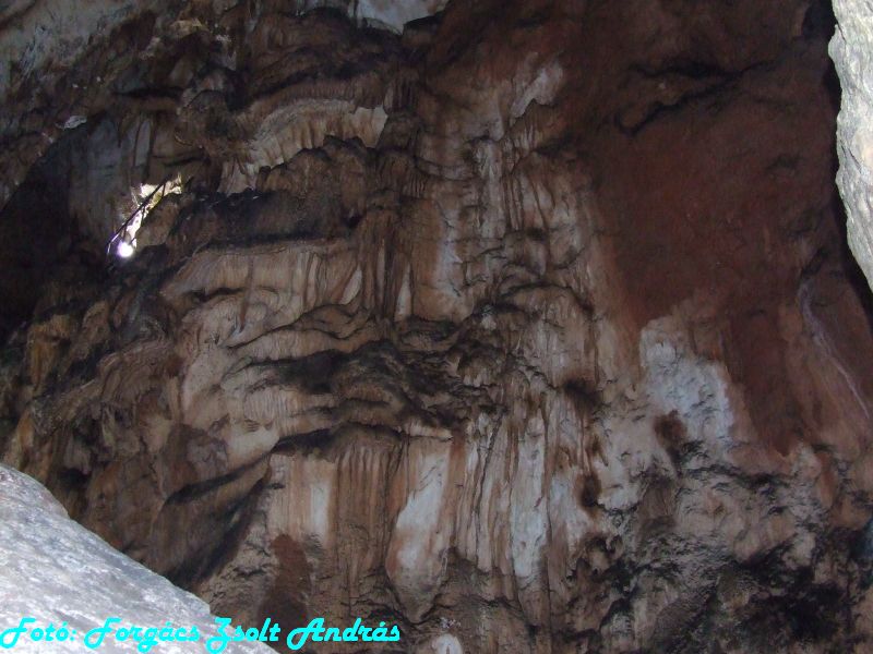 2013_zichy_barlang__137.JPG