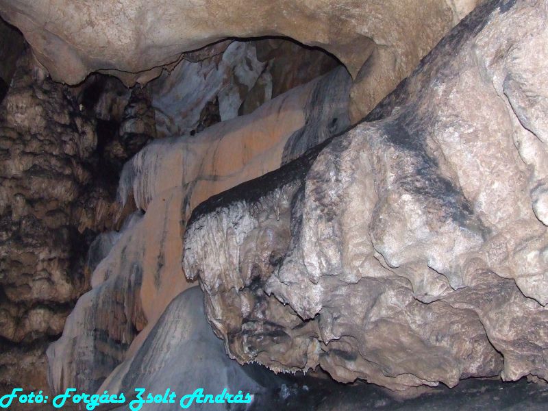 2013_zichy_barlang__141.JPG