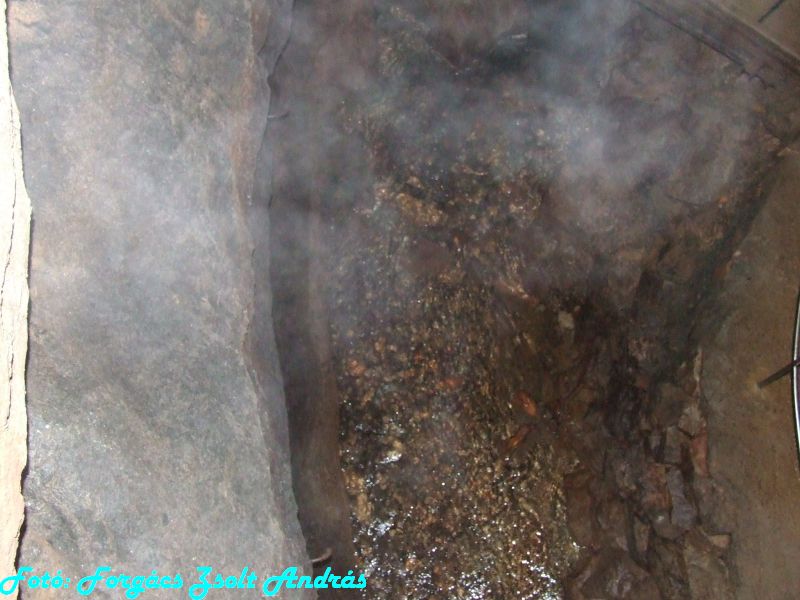 2013_zichy_barlang__147.JPG
